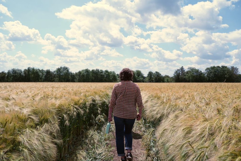 A person is in the centre of the foreground with their back to the camera, walking along a track through a large field, towards a horizon line of trees.