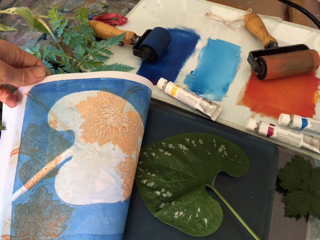 A jelly print being peeled off a plate. The print is of layered natural forms and leaves and is made with blue and orange ink.