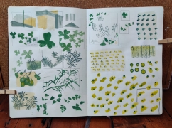 Sketchbook page held open with wooden pegs in front of a corkboard. The page has green and yellow patterns covering it.